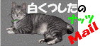 ���������̃i�b�c